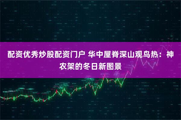 配资优秀炒股配资门户 华中屋脊深山观鸟热：神农架的冬日新图景