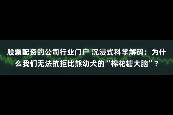 股票配资的公司行业门户 沉浸式科学解码：为什么我们无法抗拒比熊幼犬的“棉花糖大脑”？