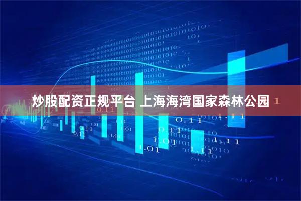 炒股配资正规平台 上海海湾国家森林公园