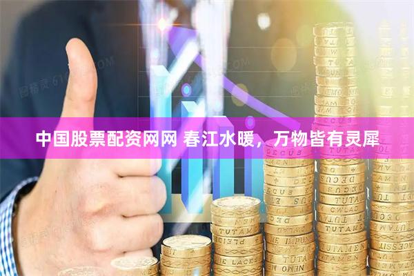 中国股票配资网网 春江水暖，万物皆有灵犀