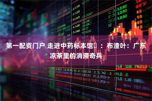第一配资门户 走进中药标本馆⑭：布渣叶：广东凉茶里的消滞奇兵