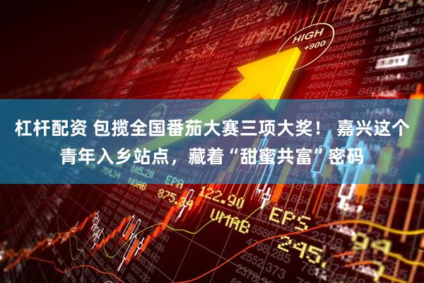 杠杆配资 包揽全国番茄大赛三项大奖！ 嘉兴这个青年入乡站点，藏着“甜蜜共富”密码